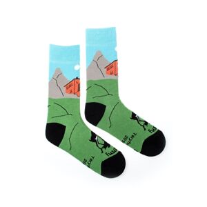 Viacfarebné ponožky Téryho chata s kamzíkom