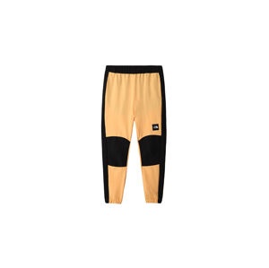 The North Face M Phlego Track Trousers M oranžové NF0A7R2H0UT-M