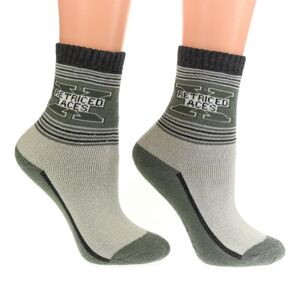 Termo sivé ponožky NILLS